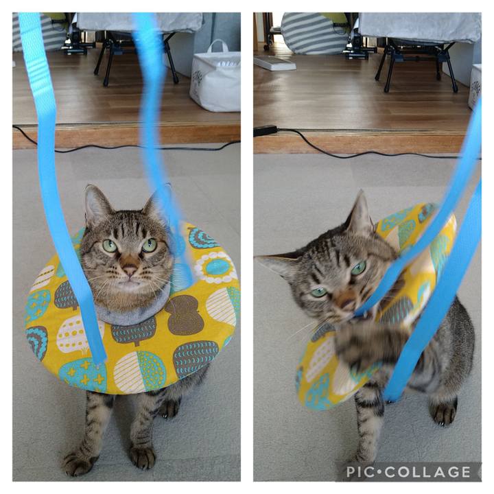 73db40c9 cb9b 4ea0 8960 4fcee81d4e6a 1731848452594