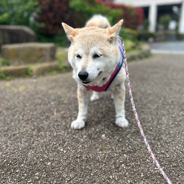 73db5397 5bb1 44cb 811b 641214ac5781 1745823826795