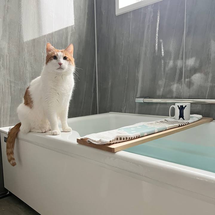 73db54d1 d080 4a42 ab0f e59e934b88b2 1768956494768