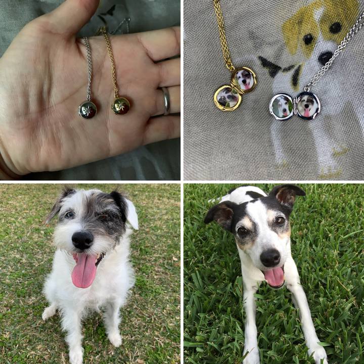 73dbcbd3 24b6 4fb7 b474 2f9aab433233 1641593590906