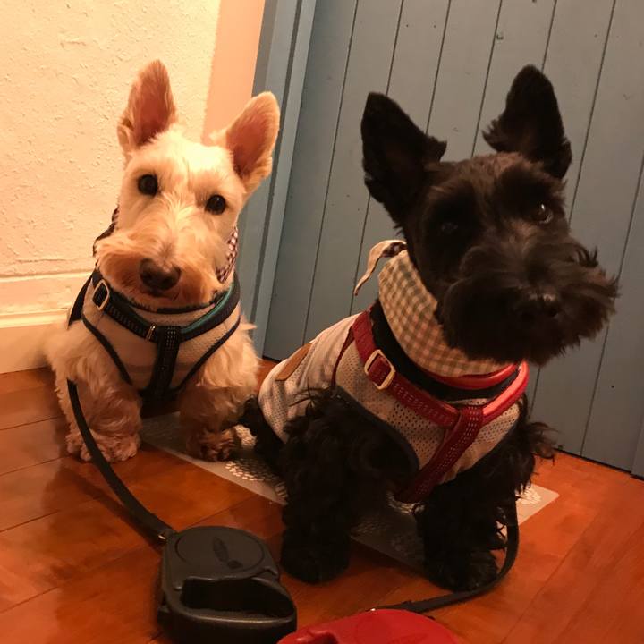 73dbcc56 d9e3 4879 a8ca 82f3030651ef 1566136600860