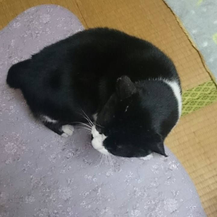 73dbd4b9 6287 44cb 8508 68881d3231cc 1514416670393