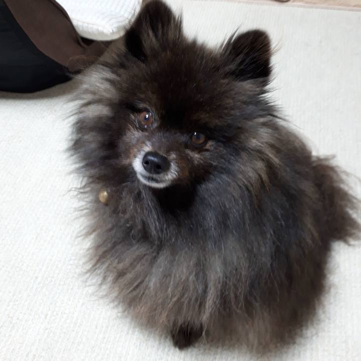 73dc01a0 ceb6 452f bcc7 e77844f01286 1519334615783