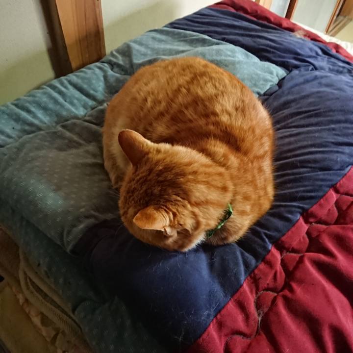 73dc32a1 9a01 4fca b4ea 1d055dc8202c 1584660905158