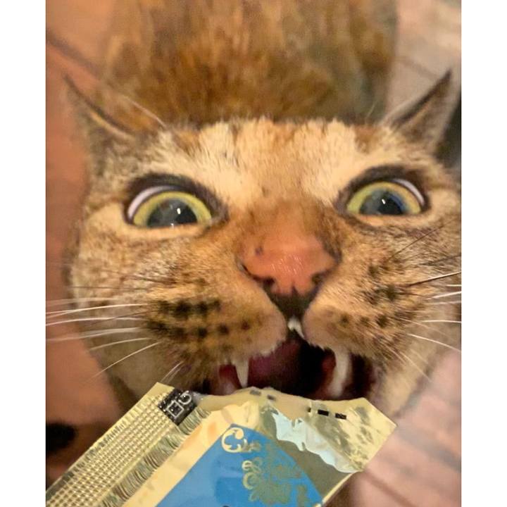 73dc3cfd 900b 4acd b366 e89a1a8c11e4 1564624320126