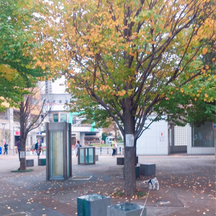 73dc3d43 df55 4b17 8321 82c5370aa552 1541414102369