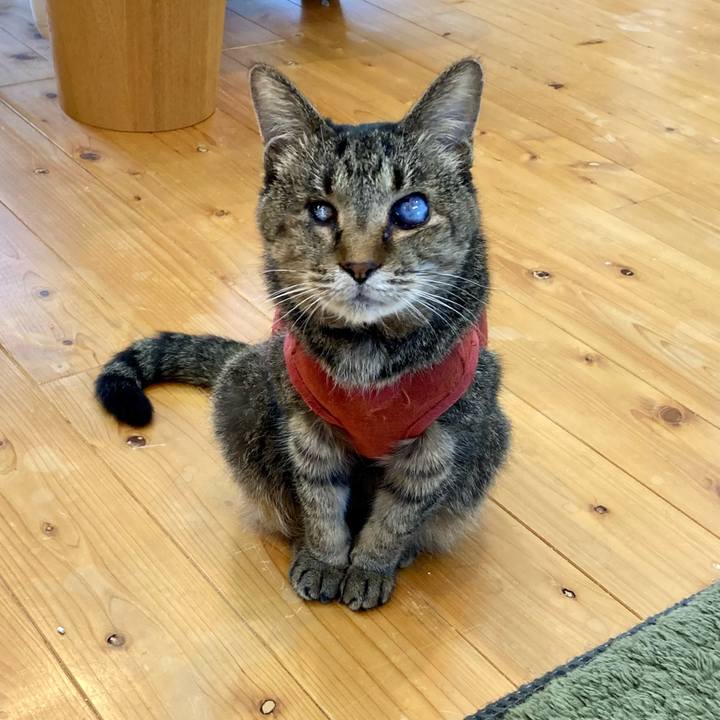 73dc658b 8479 431f 97dc 69af9d44cb57 1681942433475