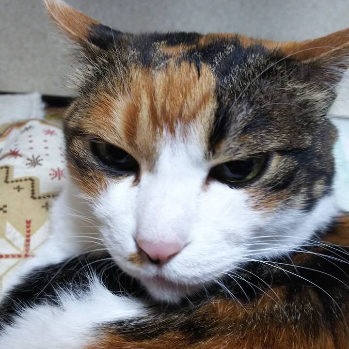 73dca575 39ef 4d4d 93c7 8207a02f6d1d 1556972802361