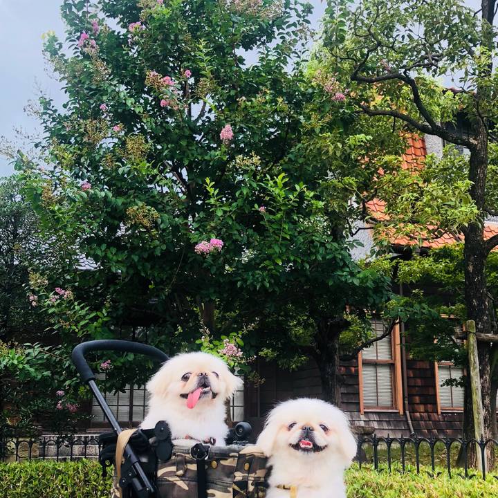 73dcfcb0 081f 46d6 83f3 88926d8ab8c5 1598585205515