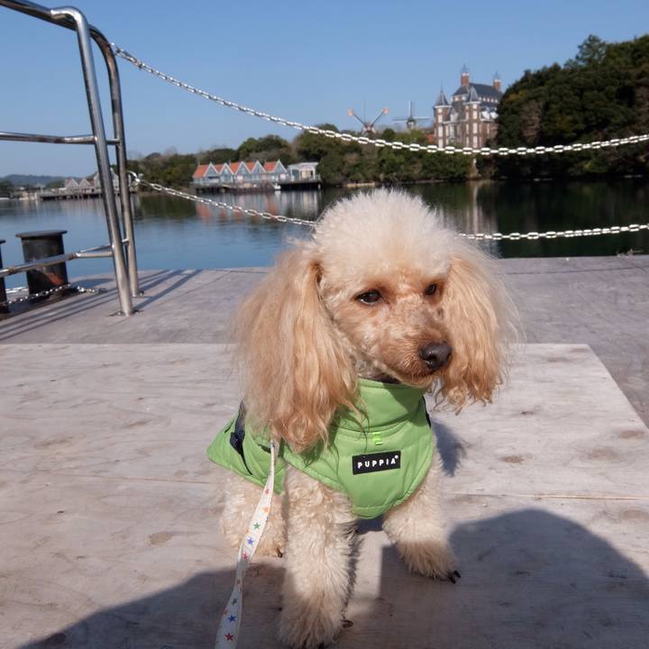 73dd66b8 1159 4cc2 bd28 313a4f5131a0 1515203459937