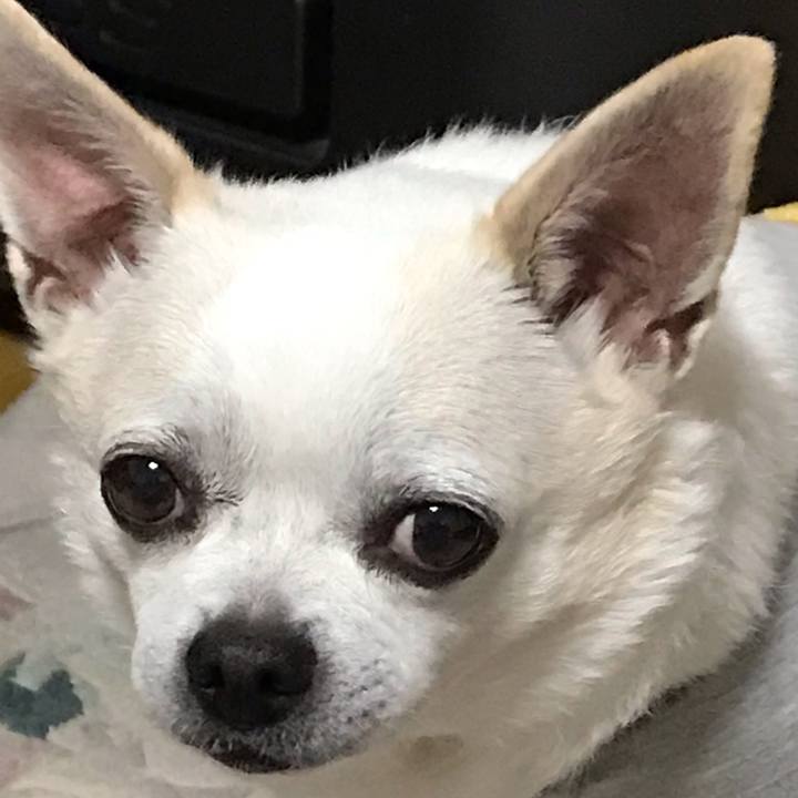 73dda918 a0b8 4d8c 8626 9c0d3bbf91ab 1574836497765