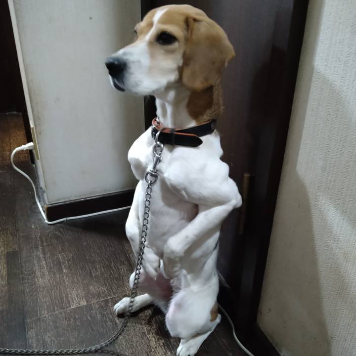 73ddae63 b4e3 4ea3 aa8c 8ced593323b7 1646138529306