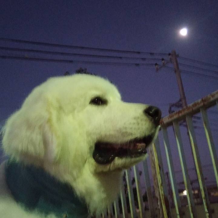 73dde8f2 5f9f 483e 9c78 e91e721d85f4 1693601305226