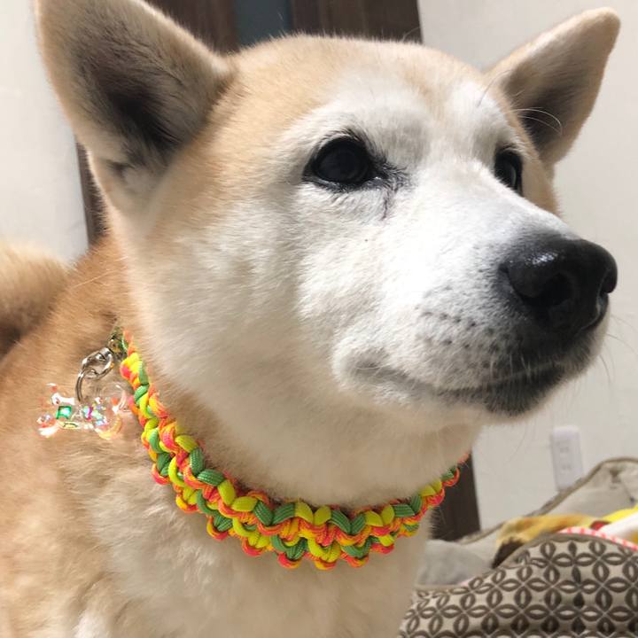 73ddeba3 de76 423e bf61 467314bd9cfd 1546987680562