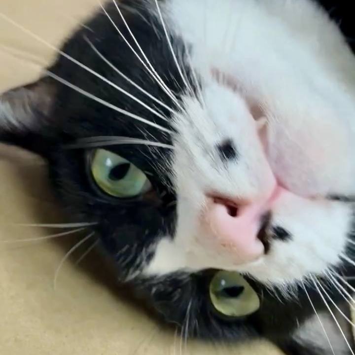 73de0e7c ac26 4821 bb6f a9bce112eea2 1730171423645