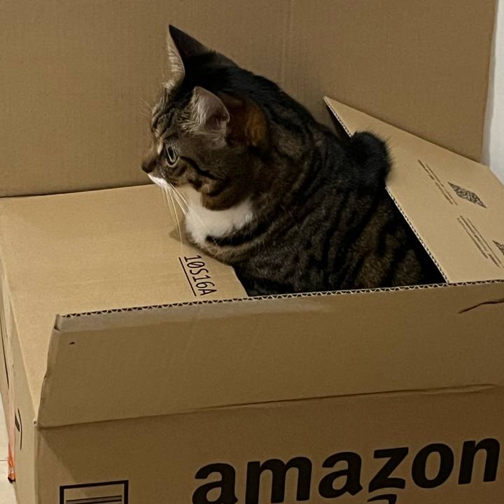 73de277c 6534 44a5 a25b 855ad0b35afb 1701956318537