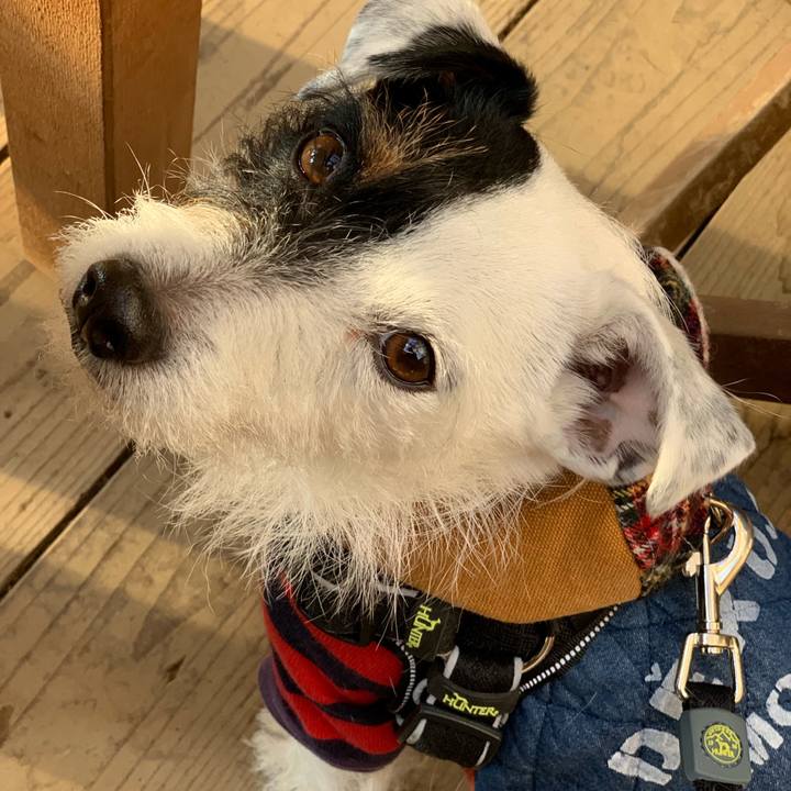 73de31be de80 4732 8c5d f600590a8635 1547358119041