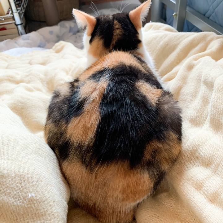 73de384b 6ea2 42f0 b1d0 140428139c41 1575855311590