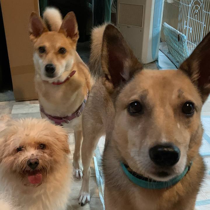 73de4a7d be2e 412e ae5e db191e0eaf64 1634479856100