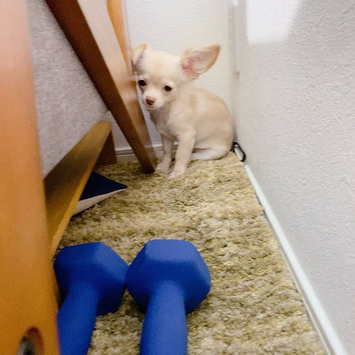 73deb43e 73f2 42fd 872b 6969a33553ff 1594196292567