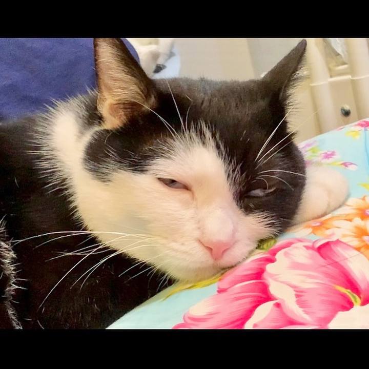 73deee5a b519 458e 98f9 d01612dccbd6 1696199643898