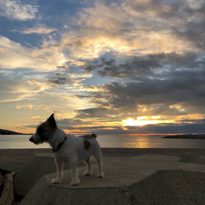 73df0406 450a 4dac a88c e3847f61b919 1602317948318