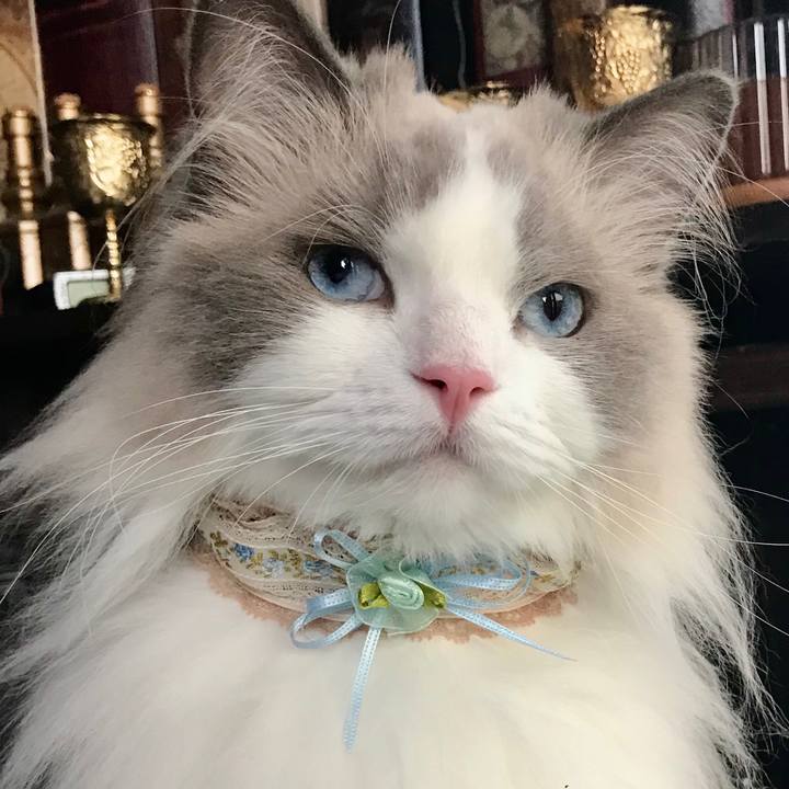 73df17bc 6eeb 4d68 b1cf e437011ea3cb 1600084286644