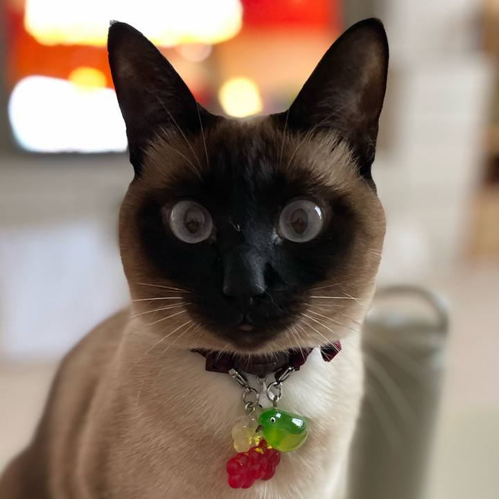 73df2356 47b1 45b0 8b16 f32ea38e59f7 1742109504999