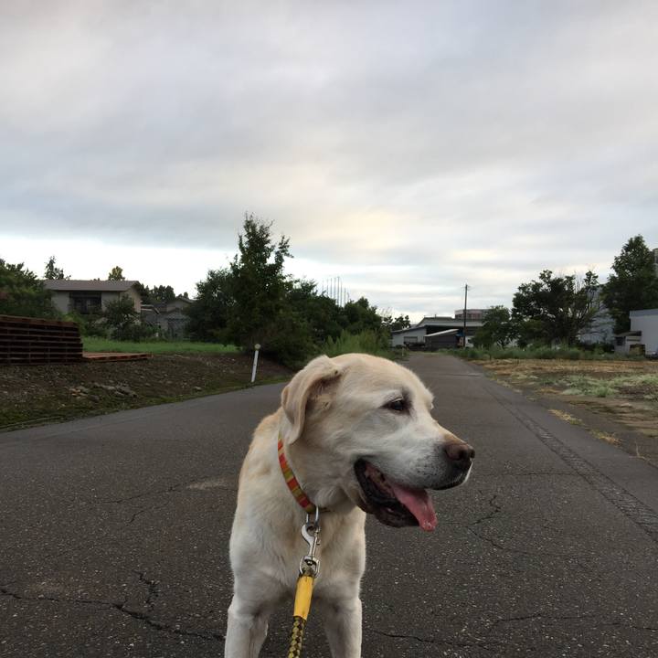 73df5b06 48ad 46d9 b90a 145153e14612 1535491413611