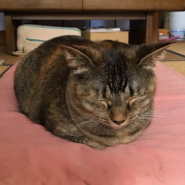 73df7092 a0f2 48ca 9952 6a8a1de3a422 1688733207651