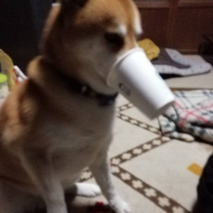 73df7878 44b1 4251 8efe 588e722562ae 1588059681791