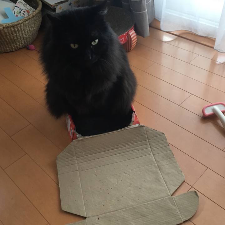 73dfbbbb 3926 4d58 8bea 527e8b9dea4b 1548296886499