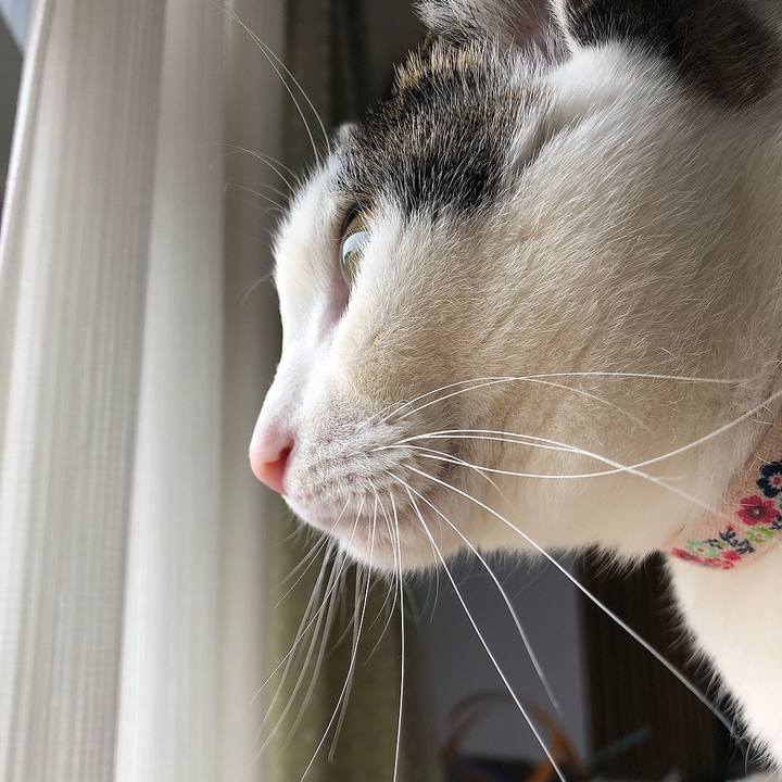 73dfd3ed 9521 4fb0 9bcd a7d69091ce5e 1676532230259