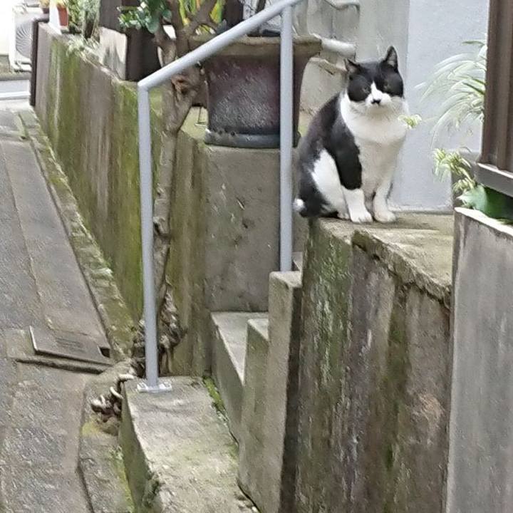 73dfe801 dc6c 4869 a374 5b453af9d0be 1671074856093