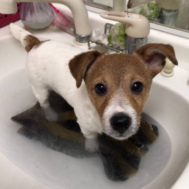 73dffc71 a65a 4a83 b991 ede89098a71b 1546989369600