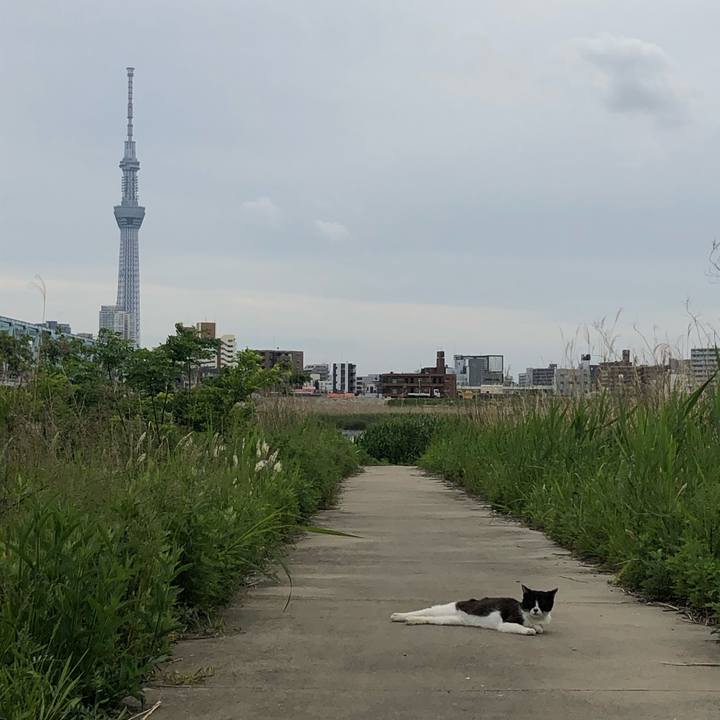 73e00efa 439c 4d7e 9f51 cdbef8b2a0dd 1589720960997