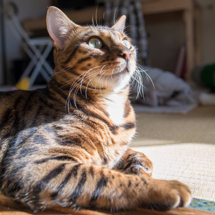 73e0240a 5f6a 40b9 bbd9 c1866ce24f6a 1518605201273