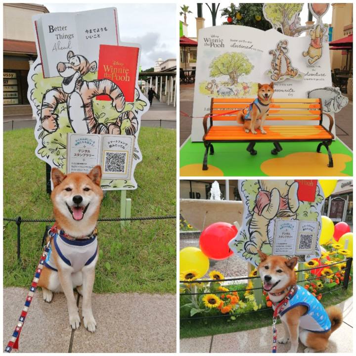 73e0718b bda0 4b6c 9a77 8aa691e89dce 1657879593240