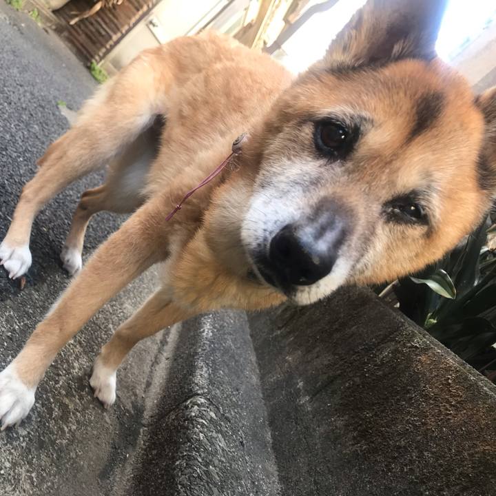 73e089b0 eea9 44f1 b55b 8dc020edba0d 1556406680751