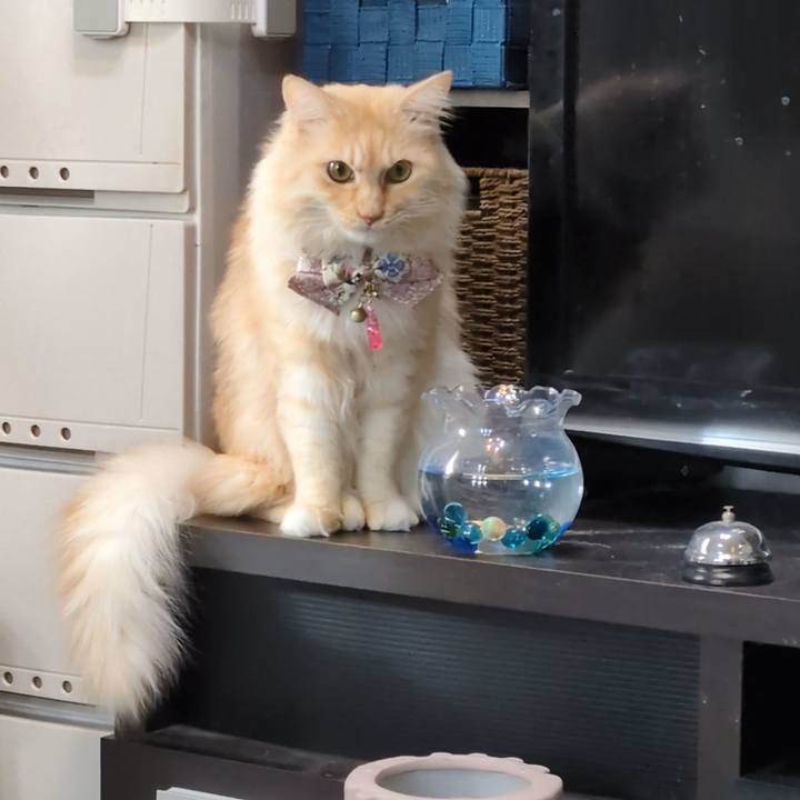 73e0b9b1 460f 4eed a272 44c811e37f28 1766278672413