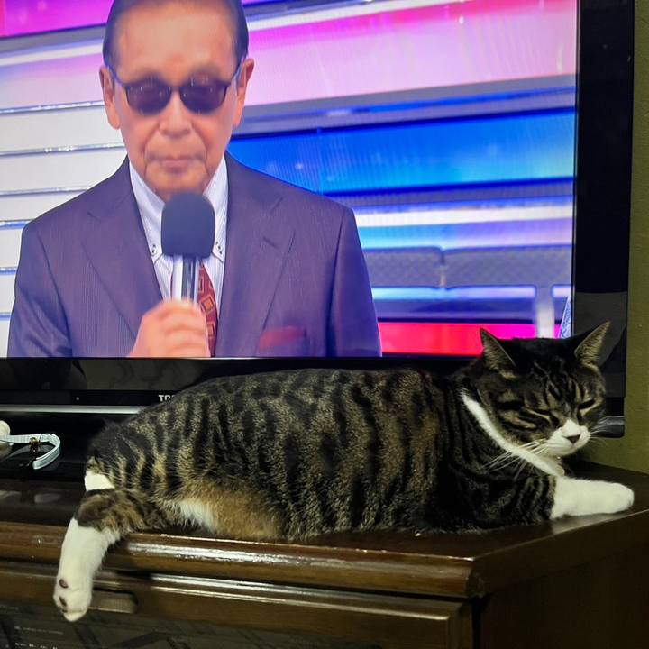 73e0de32 942c 4bdc bc63 02a18e1adc79 1764376571464