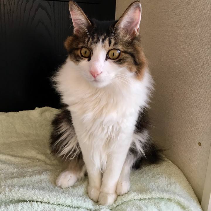 73e0f4f4 22bc 4f88 9a78 d5010846433c 1509859613583