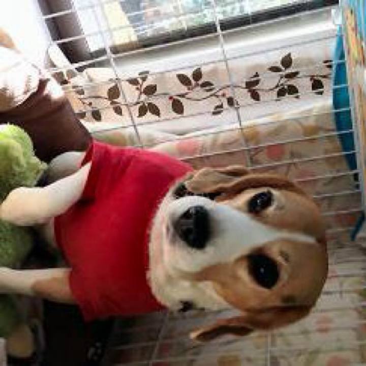 73e0fd95 6992 47e5 bfc8 1175d328ee9c 1732406558199