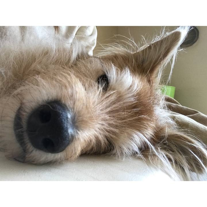 73e116d6 bd96 4161 87bd f0a04dc37a32 1586300246529