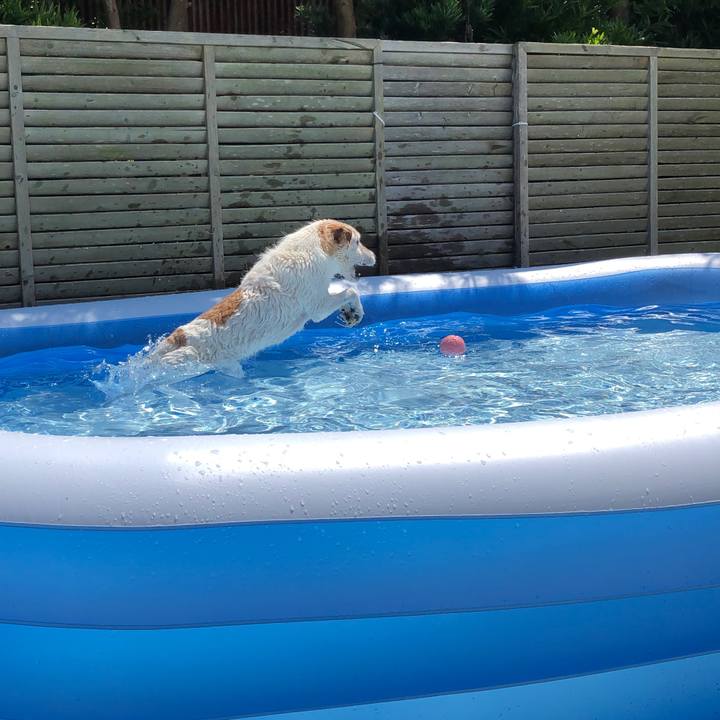 73e12a88 72dc 4ff2 b2c7 e7d4f483f87e 1564902790897