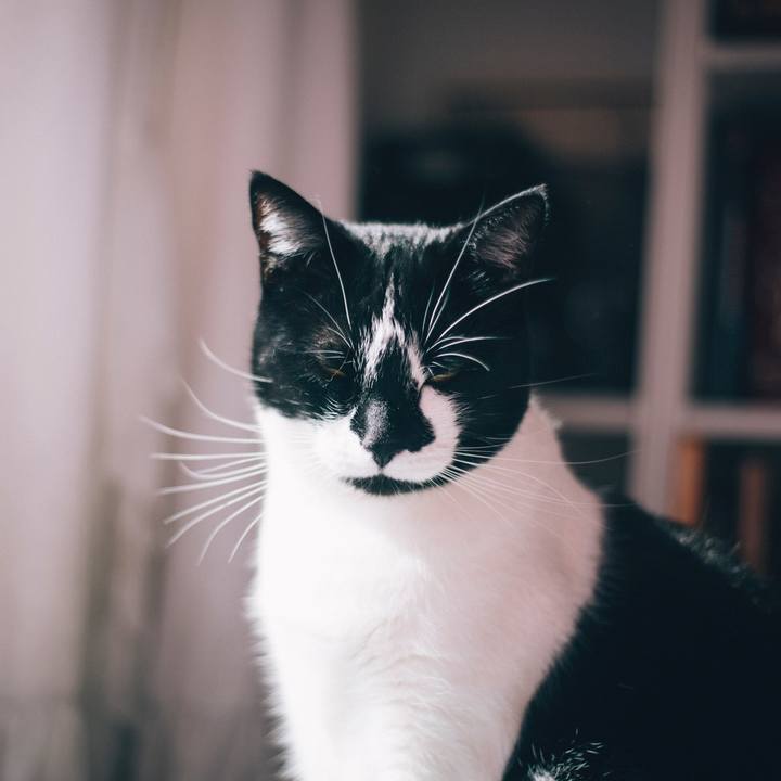 73e159de 0b80 4ed5 be7a ce832ac7b601 1551596552447