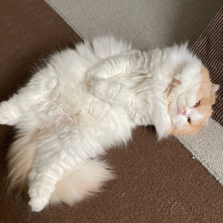 73e16f46 5195 473c 9bde 4d5b9d83d38f 1602766744312