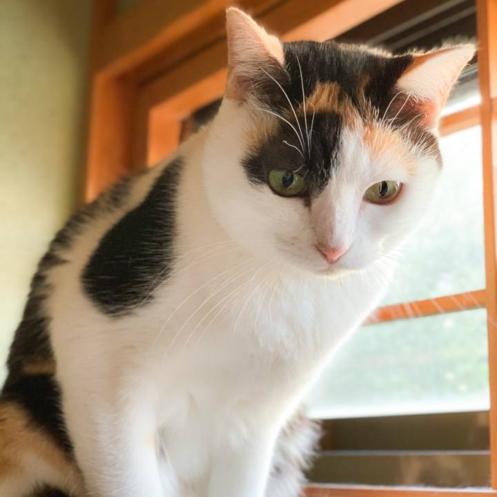 73e1f59b cf23 424c b7fd 3988cba7b55c 1575165851226