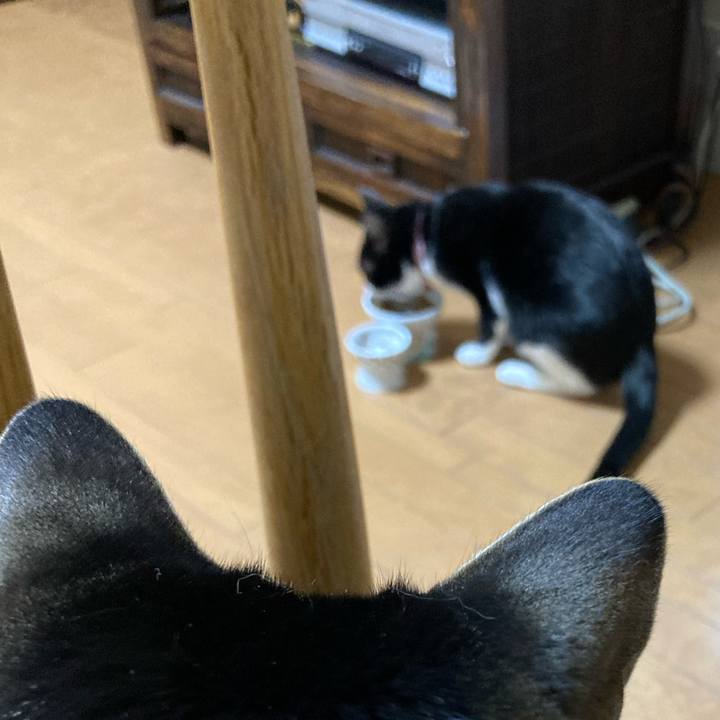 73e1f732 f074 4b6f a195 2a5feaf91ab6 1674628566657