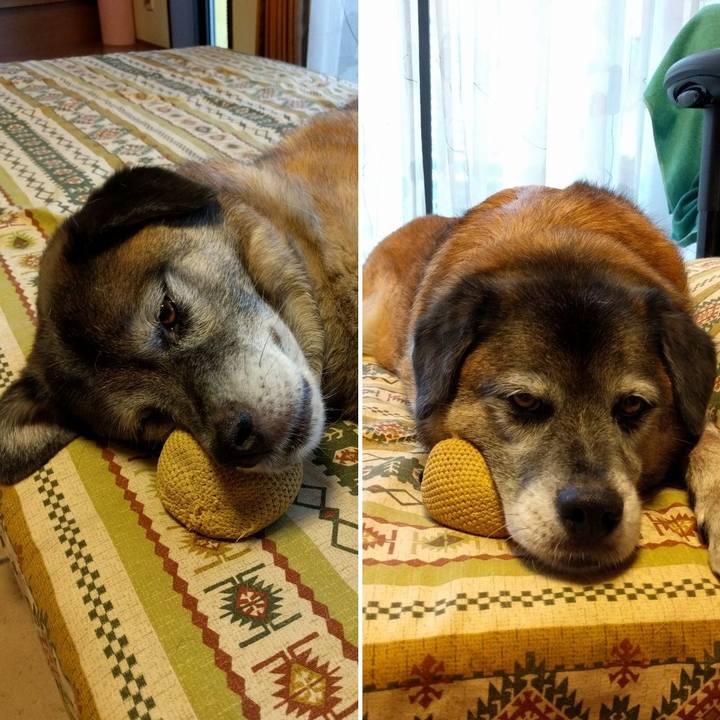 73e210ec 7f6e 4dc7 853f 596ef611ce91 1531135315662